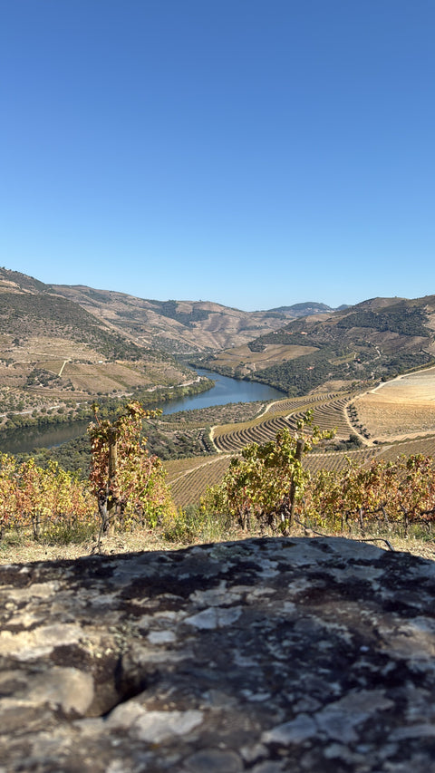 Blick über das Douro-Tal