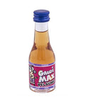 Gaudi Max Pflaume - 25x 20ml | wein&mehr